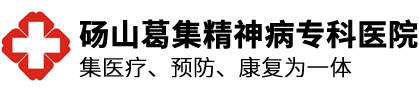 2024澳门原料网网站